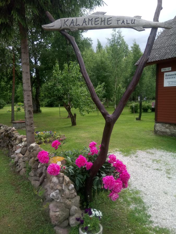 Kalamehe Farmstay Alatskivi Exteriér fotografie
