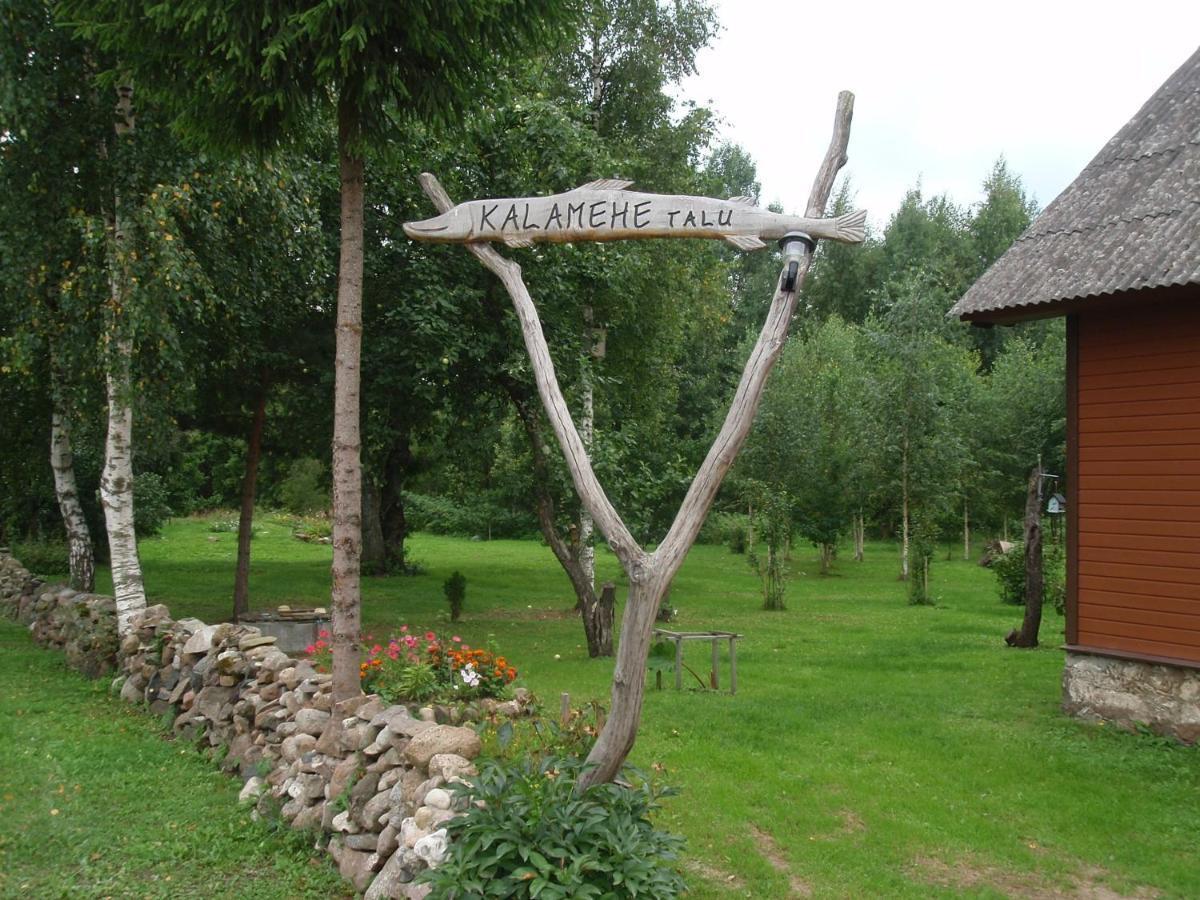 Kalamehe Farmstay Alatskivi Exteriér fotografie